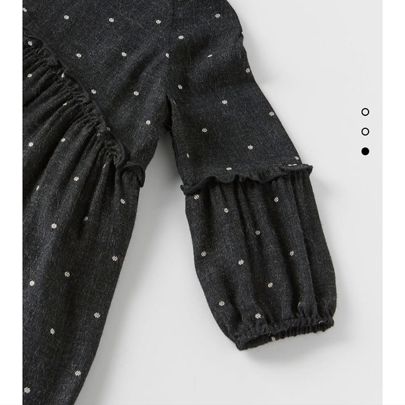 Zara Polka Dot Embroidered Dress - Picture 3 of 3